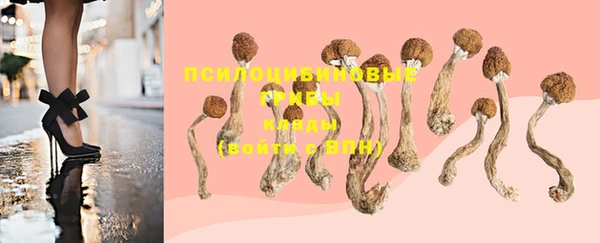 не бодяженный Белокуриха