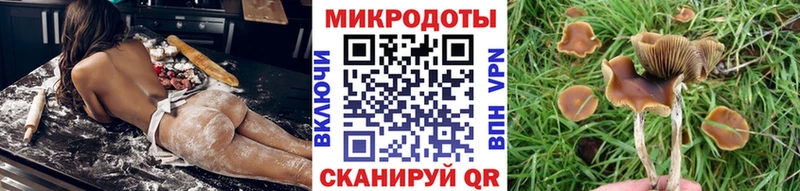 Псилоцибиновые грибы MAGIC MUSHROOMS  закладка  Кропоткин 